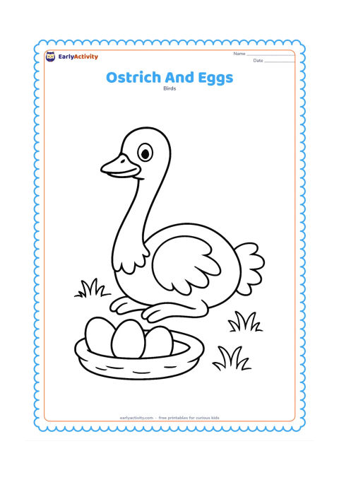 Colouring page: A seated ostrich rests beside a shallow nest containing three large oval eggs. Place the nest on open ground with a few simple grass tufts.