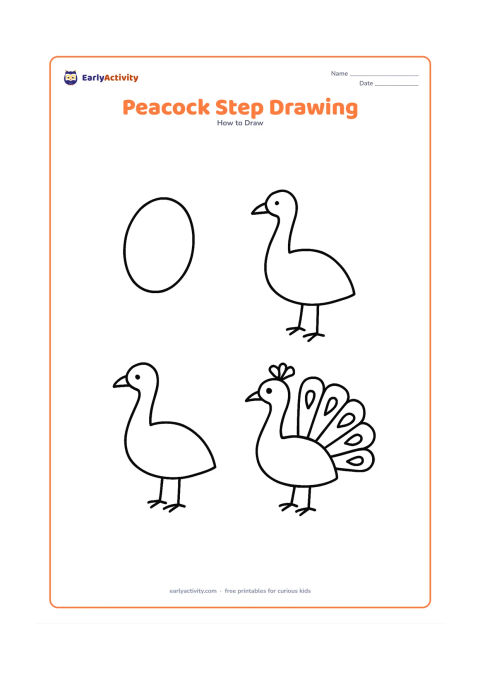 Worksheet: Arrange four separate drawing stages from basic body oval and neck curve to a finished standing peacock with crest, feet and fan tail. Each stage shows only shapes and lines, with no…