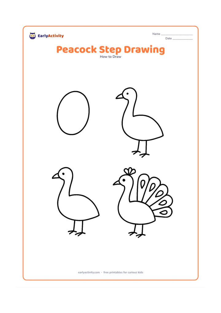 Worksheet: Arrange four separate drawing stages from basic body oval and neck curve to a finished standing peacock with crest, feet and fan tail. Each stage shows only shapes and lines, with no…
