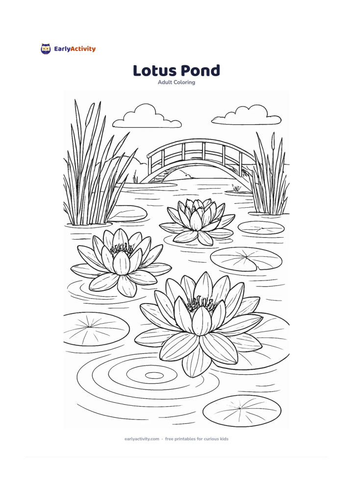 Colouring page: Draw a calm pond with three open lotus flowers, round lily pads, and a pair of gentle ripples. Include tall reeds, a small arched footbridge in the distance, and plenty of open water.