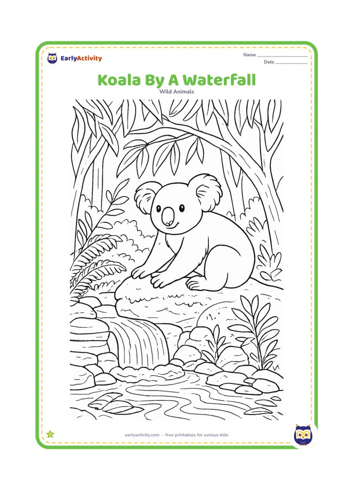 Colouring page: Draw a koala resting on a mossy rock beside a small waterfall in a eucalyptus forest. Add layered rocks, flowing water, ferns, leaf litter and branches arching overhead.