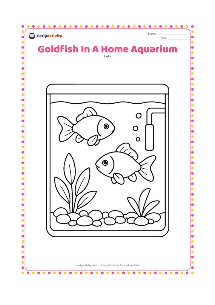 Colouring page: Draw a rectangular home aquarium with two goldfish at different depths, a filter tube, broad plants, rounded gravel and a few bubbles. Show a clear water line and leave the tank frame…