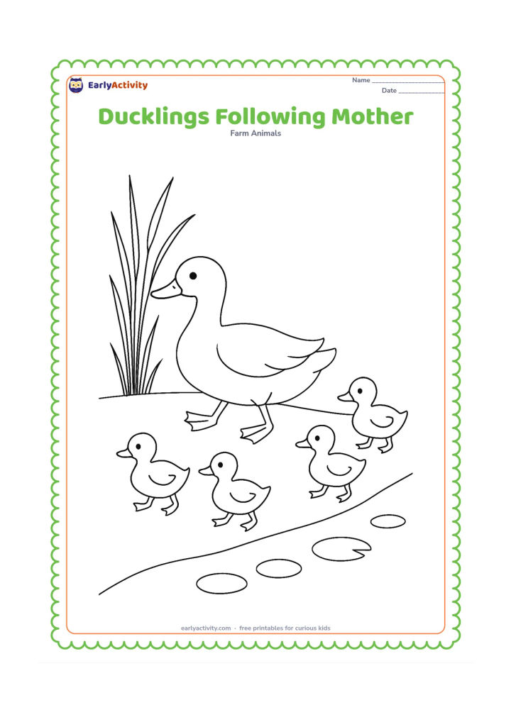 Colouring page: A mother duck leads four ducklings in a line along a pond edge. Include simple stepping feet, a curved shoreline, reeds and small round lily pads.