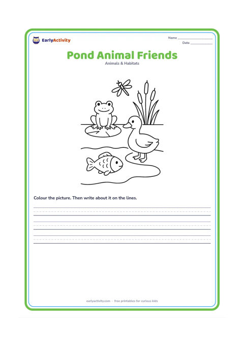 Worksheet: Show a frog on a lily pad, a fish below the water, a duck at the pond edge and a dragonfly above the reeds. Use a clear pond cross-section with each animal in its own visible area.