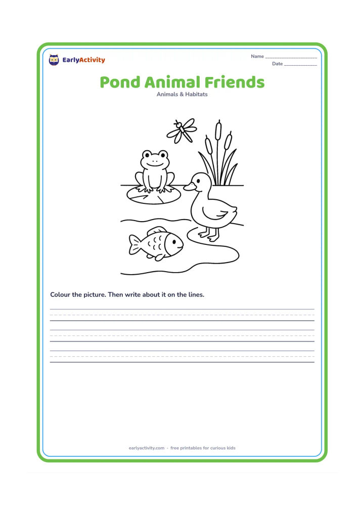 Worksheet: Show a frog on a lily pad, a fish below the water, a duck at the pond edge and a dragonfly above the reeds. Use a clear pond cross-section with each animal in its own visible area.