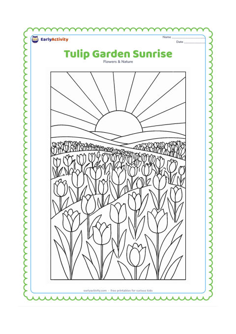 Colouring page: Draw a wide tulip garden at sunrise, with many flowers in curved rows, a low horizon, distant hills and a large sun partly above the horizon. Vary the tulip heights and open flower shapes.