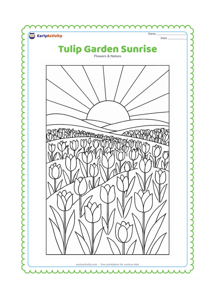 Colouring page: Draw a wide tulip garden at sunrise, with many flowers in curved rows, a low horizon, distant hills and a large sun partly above the horizon. Vary the tulip heights and open flower shapes.