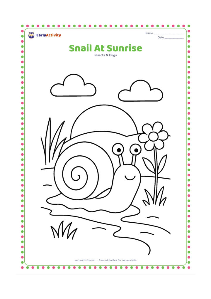 Colouring page: Draw a snail moving across damp ground at sunrise, with a low sun, soft cloud shapes, tall grass, a flower and a long trail. Place the snail in the foreground.