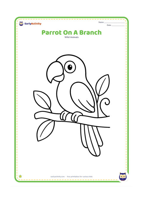 Colouring page: A parrot perches on a sturdy branch with its head turned to one side. Add three large leaves and a simple curved vine.