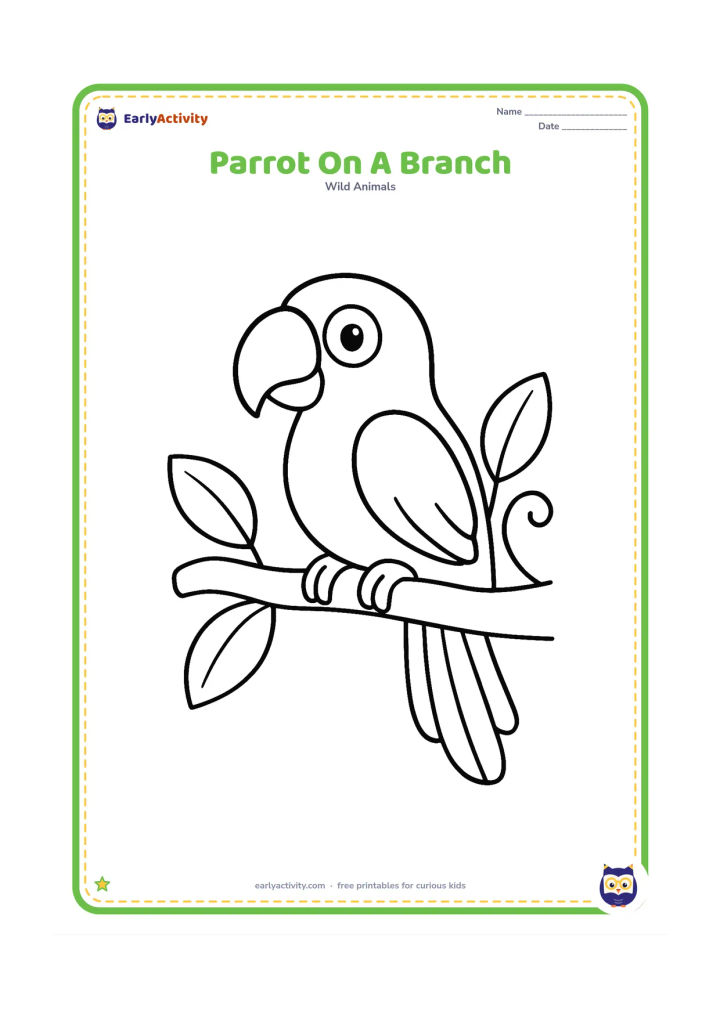 Colouring page: A parrot perches on a sturdy branch with its head turned to one side. Add three large leaves and a simple curved vine.