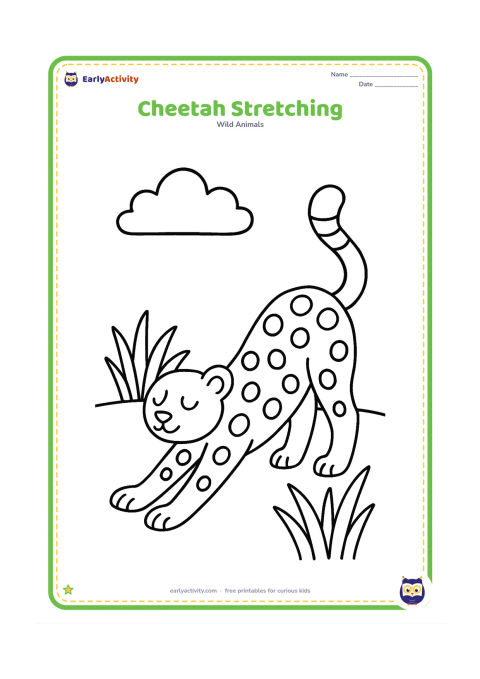 Colouring page: Draw a calm cheetah stretching its front legs forward and raising its tail behind it. Place it beside two large grass tufts under a simple cloud.