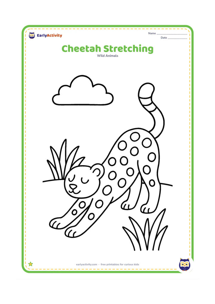 Colouring page: Draw a calm cheetah stretching its front legs forward and raising its tail behind it. Place it beside two large grass tufts under a simple cloud.