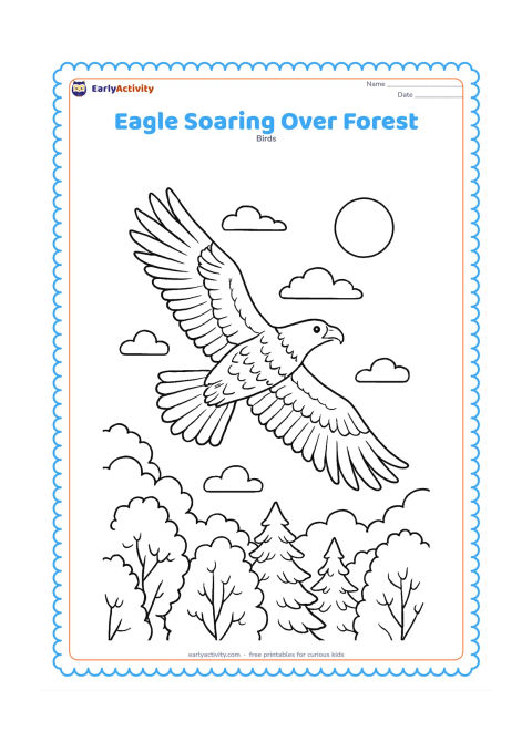 Colouring page: Draw an eagle gliding above a forest canopy, viewed from slightly below, with a fan-shaped tail and broad wings. Fill the lower area with varied treetops, a few clouds and a distant sun.