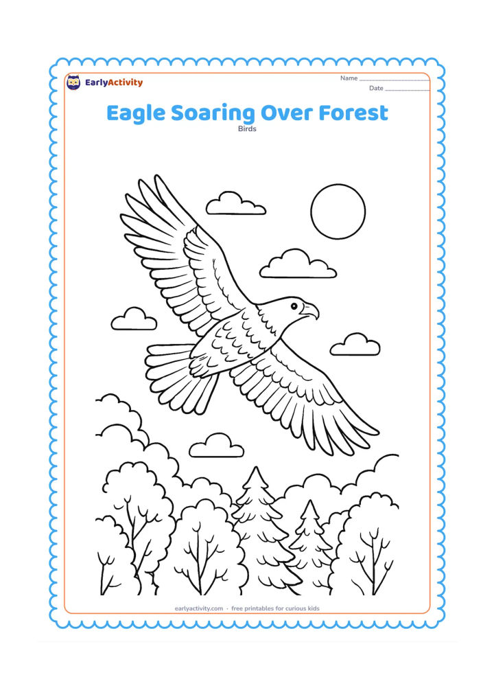 Colouring page: Draw an eagle gliding above a forest canopy, viewed from slightly below, with a fan-shaped tail and broad wings. Fill the lower area with varied treetops, a few clouds and a distant sun.