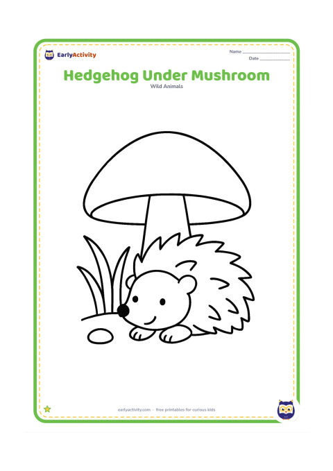 Colouring page: Draw a hedgehog resting beneath one large simple mushroom, with its face and front paws visible. Add a few wide blades of grass and one small pebble.