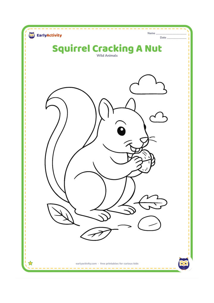 Colouring page: Draw a seated squirrel holding and gnawing a hard nut between its front paws, with a small stone and fallen leaves nearby.