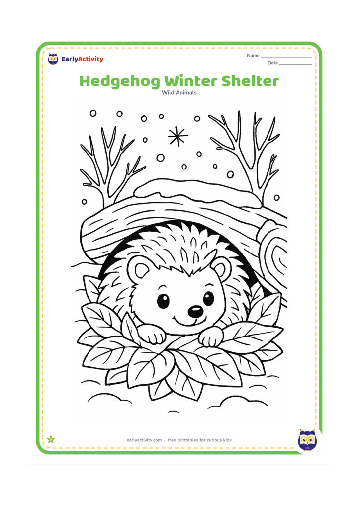 Colouring page: Draw a hedgehog tucked into a cosy nest of leaves beneath a log during winter, with bare branches, snow-covered ground and a few snowflakes around the shelter. Show only its face and…
