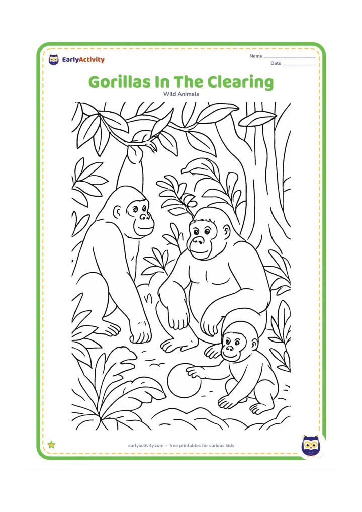 Colouring page: A gorilla family gathers in a forest clearing, with one adult seated, another reaching toward a leafy branch, and a youngster rolling a round fruit. Add layered tropical plants and tree…