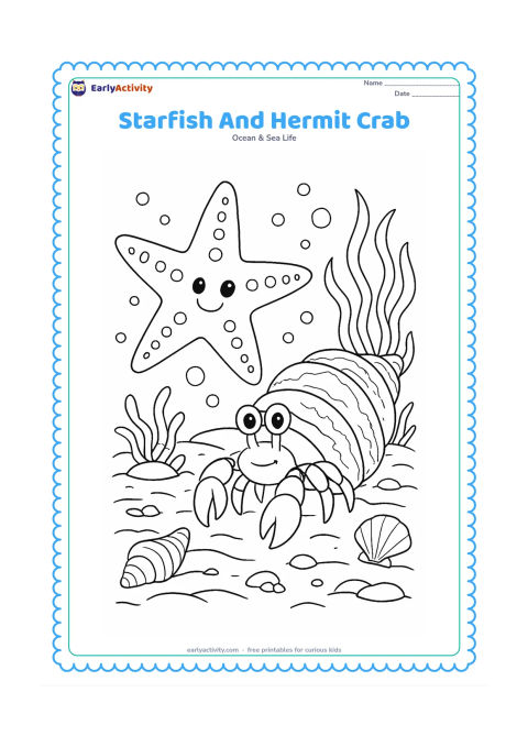 Colouring page: Draw a starfish beside a hermit crab carrying a textured shell, with layered sand, pebbles, seaweed, shells and bubbles.