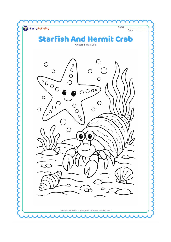 Colouring page: Draw a starfish beside a hermit crab carrying a textured shell, with layered sand, pebbles, seaweed, shells and bubbles.