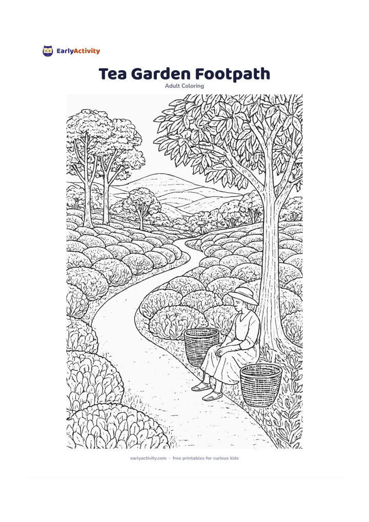 Colouring page: A winding path through a lush tea garden, with carefully rounded tea bushes, baskets near the path, tall shade trees and layered hills fading into the distance. Add a seated tea picker…