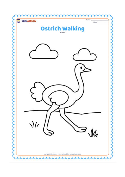 Colouring page: One ostrich takes a long step across a simple grassy field, with its neck stretched forward and one leg raised. Add a low horizon and two broad clouds.