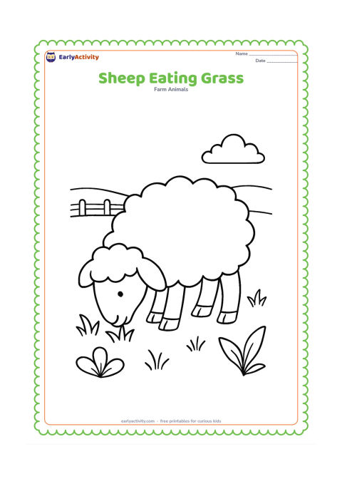 Colouring page: One sheep lowers its head to eat grass in a wide field, with a few leafy plants and a simple distant fence. Show the split hooves clearly.