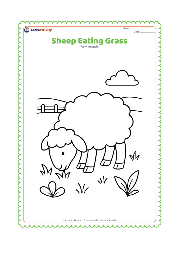 Colouring page: One sheep lowers its head to eat grass in a wide field, with a few leafy plants and a simple distant fence. Show the split hooves clearly.