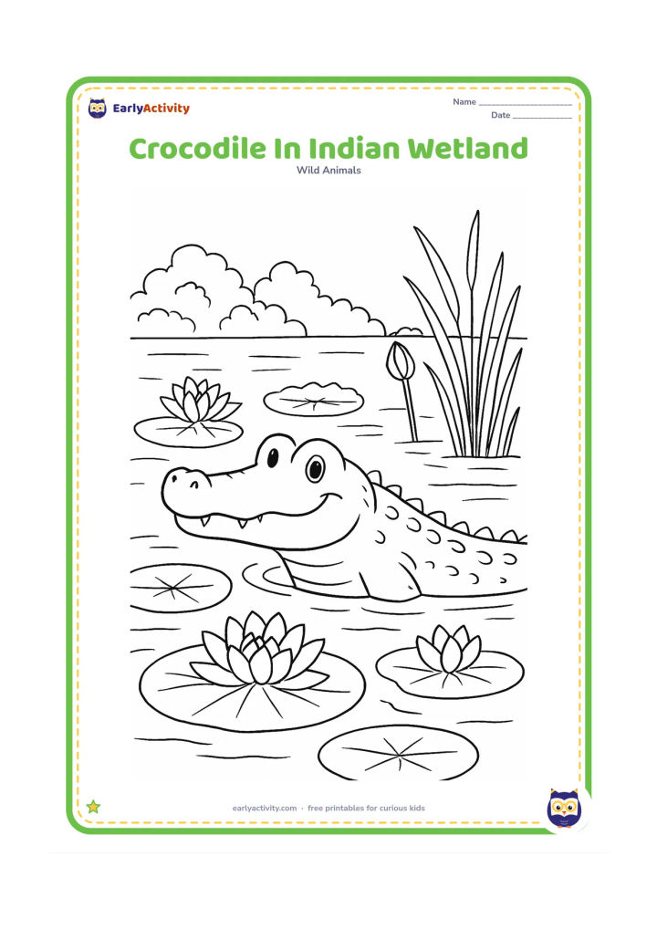 Colouring page: Draw a crocodile partly submerged in an Indian wetland with lotus leaves, a few lotus flowers, tall reeds, and a distant line of trees. Keep the animal prominent in the foreground.