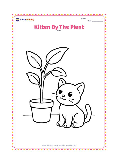 Colouring page: A kitten sits beside one large leafy houseplant in a pot, looking up at a dangling leaf. Show a plain wall and floor with simple curved shapes.