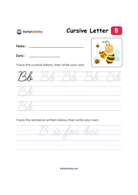 Worksheet showing cursive uppercase and lowercase B tracing lines, a bee picture, and the sentence “B is for bee.”