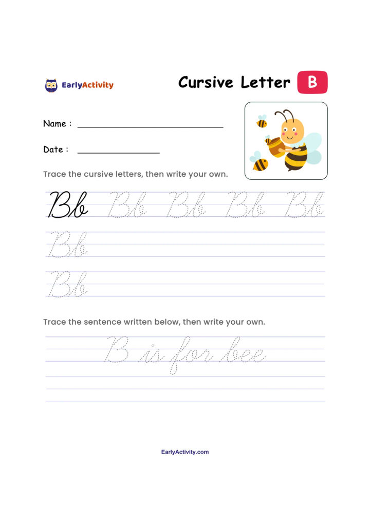 Worksheet showing cursive uppercase and lowercase B tracing lines, a bee picture, and the sentence “B is for bee.”