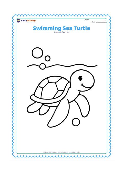 Colouring page: Draw a sea turtle swimming across the page with all four flippers visible, a few large bubbles, and a curved water line behind it.