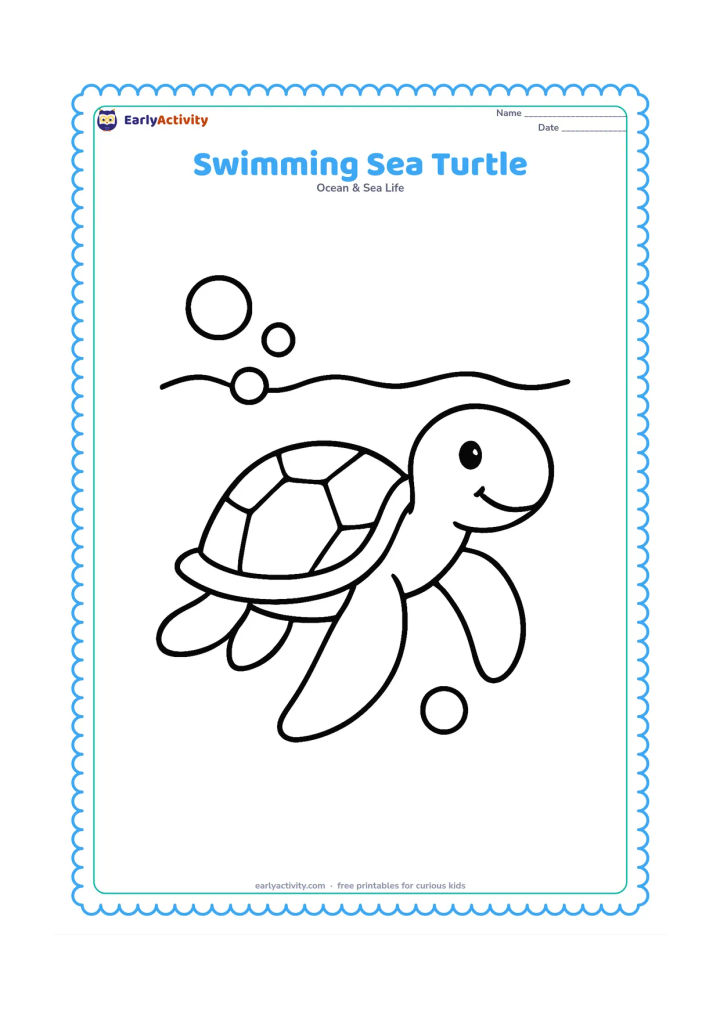 Colouring page: Draw a sea turtle swimming across the page with all four flippers visible, a few large bubbles, and a curved water line behind it.