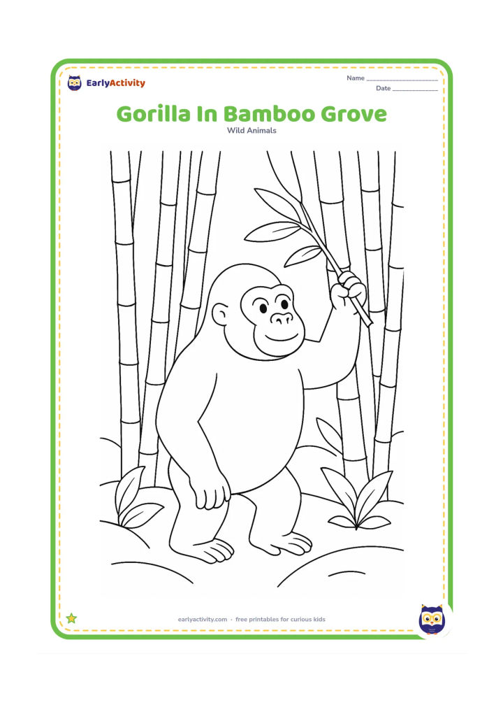 Colouring page: A gorilla stands among tall bamboo stems, reaching toward a leafy shoot. Show several segmented stems, a few broad leaves and a gently sloping forest floor.