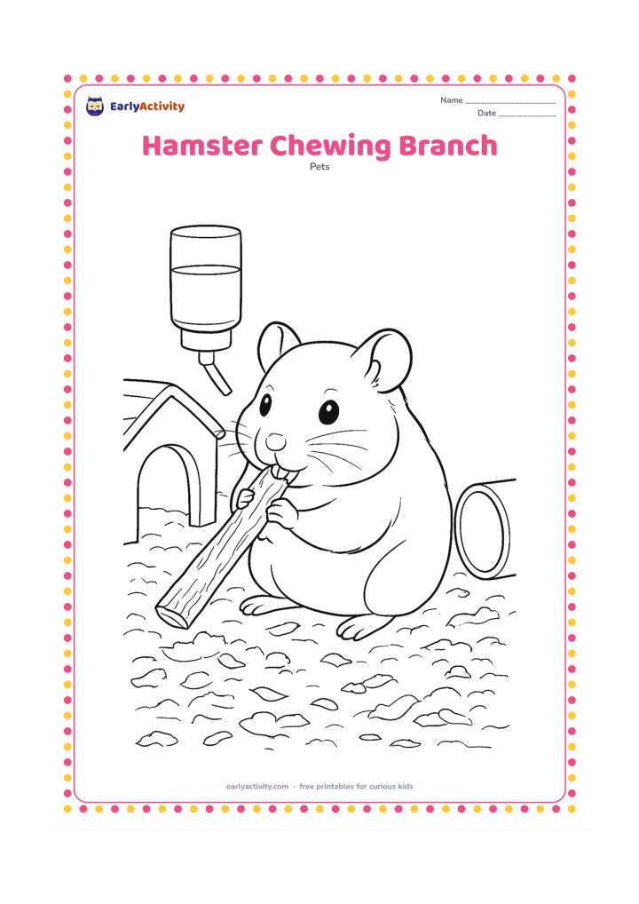 Colouring page: A hamster gnaws a safe, plain wooden branch beside its hideaway, with its front teeth gently visible. Include textured bedding, a water bottle, a tunnel and a few simple wood shavings.