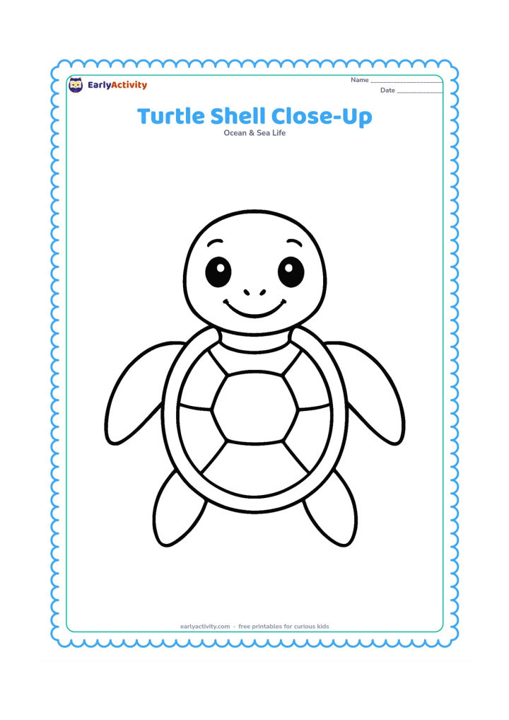 Colouring page: Draw a close-up sea turtle facing forward, showing its head, front flippers, and a large rounded shell with a few wide shell sections.