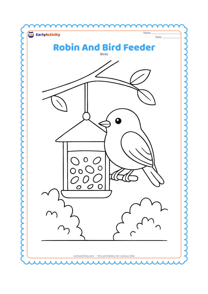 Colouring page: Draw a robin perched on a simple hanging bird feeder filled with seeds, with a second branch crossing behind it. Add two leafy garden shrubs in the distance.