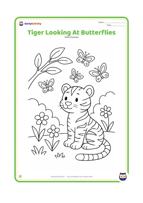 Colouring page: A seated tiger watches several butterflies flying above flowers in a forest clearing. Include a curved branch, broad leaves, and a few clearly separated flowers.