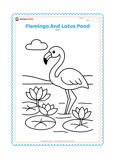 Colouring page: Draw a flamingo wading beside a few large lotus leaves and open lotus flowers in a pond. Add a low bank and a wide open sky.