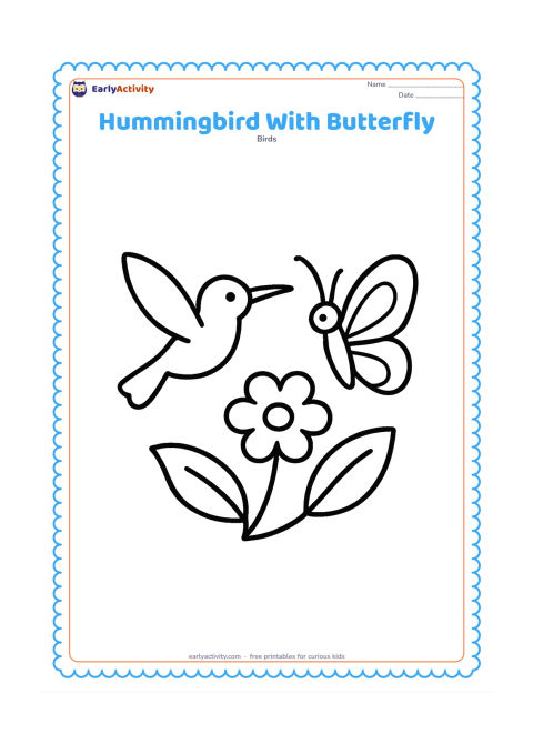 Colouring page: A hovering hummingbird faces a large butterfly beside one open flower. Add two broad leaves and a curved stem.