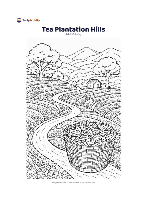 Colouring page: Draw a winding path through terraced tea bushes on green hills, with a basket of freshly picked leaves in the foreground, shade trees, a small hut and layered distant mountains. Include…