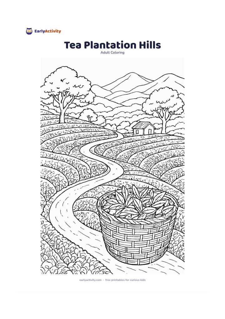 Colouring page: Draw a winding path through terraced tea bushes on green hills, with a basket of freshly picked leaves in the foreground, shade trees, a small hut and layered distant mountains. Include…