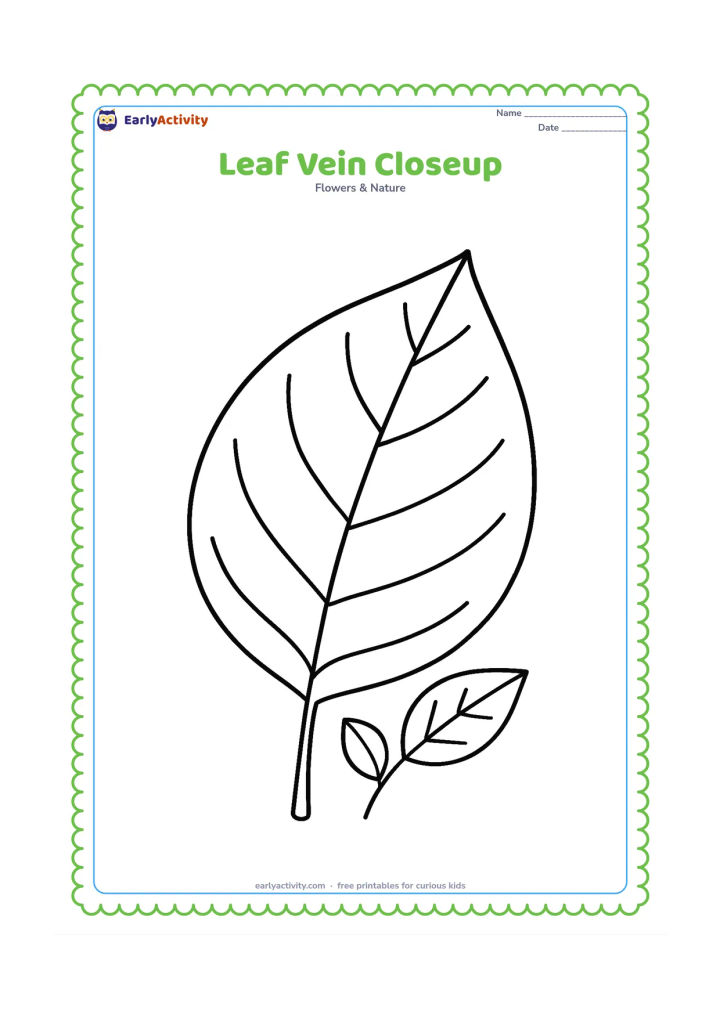 Colouring page: A large single leaf fills most of the page, showing a central midrib and branching veins clearly, with a small stem and two tiny companion leaves.