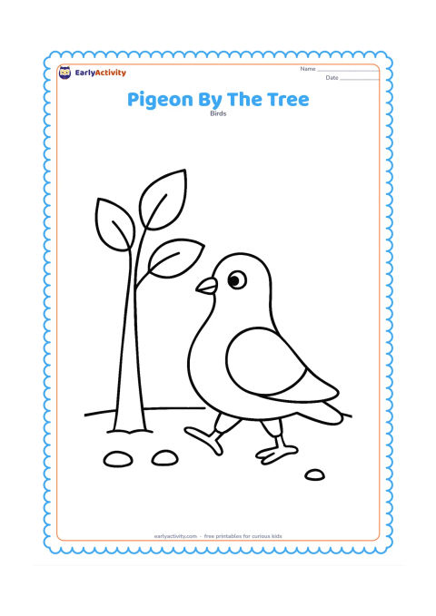 Colouring page: A pigeon walks beside the trunk of a small tree, with one foot lifted. Add two large leaves, a few stones, and a simple ground line.