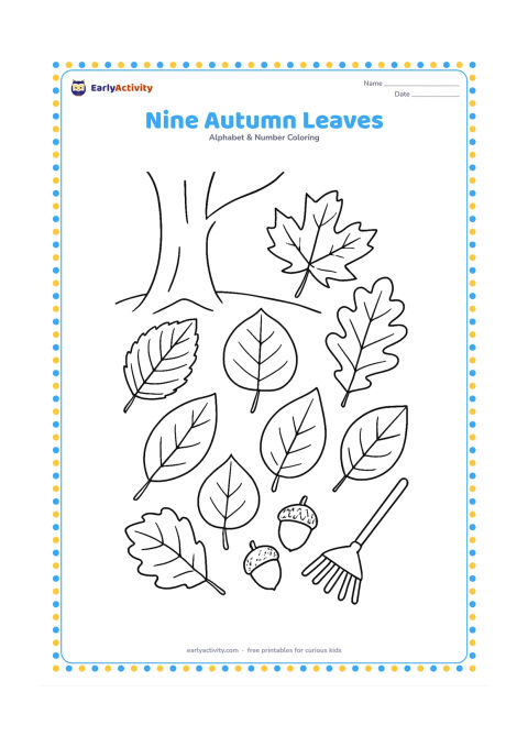 Colouring page: Draw nine different large leaves arranged across a ground patch beneath a tree, showing varied simple shapes and veins. Add a small rake and two acorns, with no written numerals.