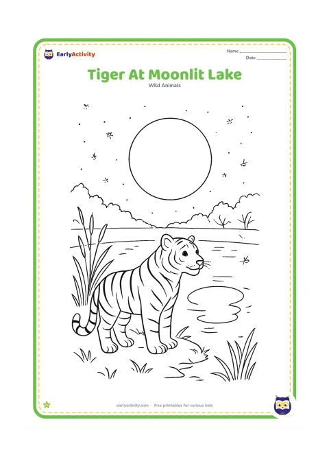 Colouring page: A tiger stands at the edge of a quiet lake at night, with a large moon reflected in the water, reeds, distant trees, and fireflies around the clearing. The scene should feel peaceful and…