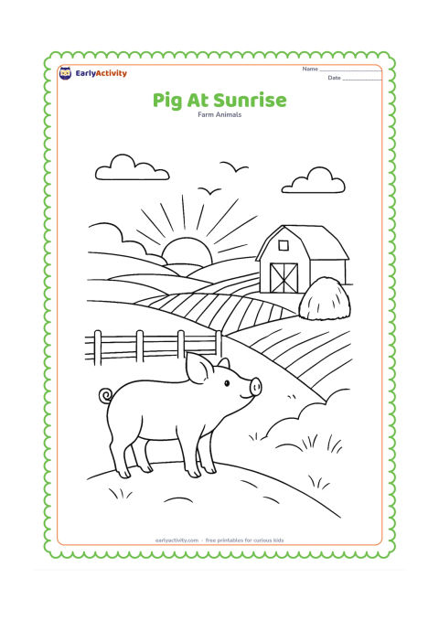 Colouring page: A pig stands on a small rise at sunrise, looking across fields toward a barn, haystack and rows of crops. Add a low fence, birds in the far sky and long morning shadows.