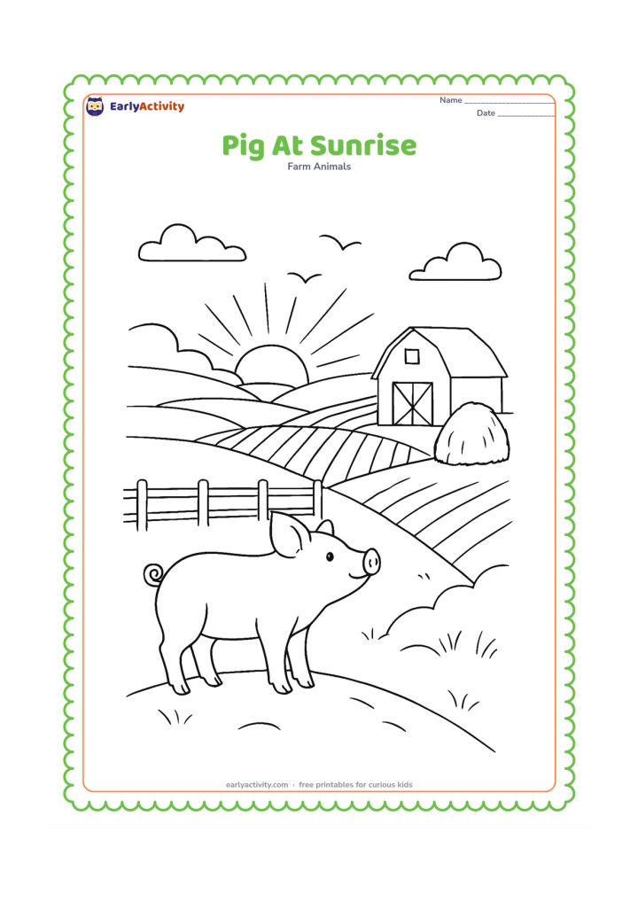 Colouring page: A pig stands on a small rise at sunrise, looking across fields toward a barn, haystack and rows of crops. Add a low fence, birds in the far sky and long morning shadows.