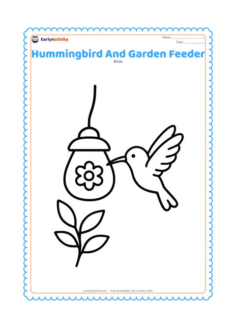 Colouring page: A hummingbird hovers beside a simple hanging garden feeder with a rounded container and a small flower-shaped opening. Add one leafy plant and a curved hanging cord.